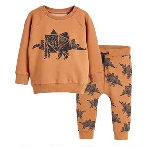 Momorii Boys Pullover and Jogger set dinosaurs